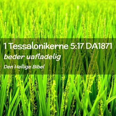 Picture 02 - 1 Tessalonikerne 5:17 DA1871 - beder - Bible Verse Picture