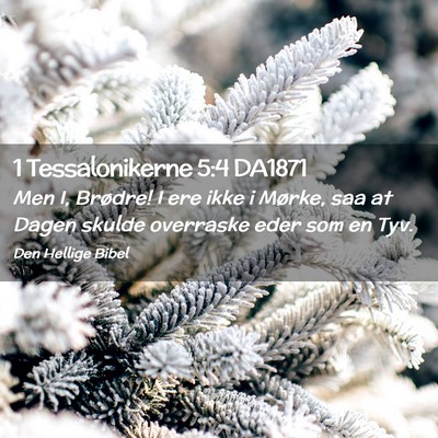 Picture 02 - 1 Tessalonikerne 5:4 DA1871 - Men I, Brødre! I ere ikke i Mørke, saa at Dagen - Bible Verse Picture