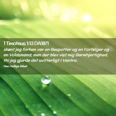Picture 02 - 1 Timoteus 1:13 DA1871 - skønt jeg forhen var en Bespotter og en - Bible Verse Picture