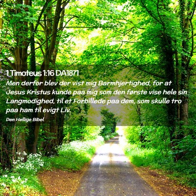 Picture 02 - 1 Timoteus 1:16 DA1871 - Men derfor blev der vist mig Barmhjertighed, for - Bible Verse Picture