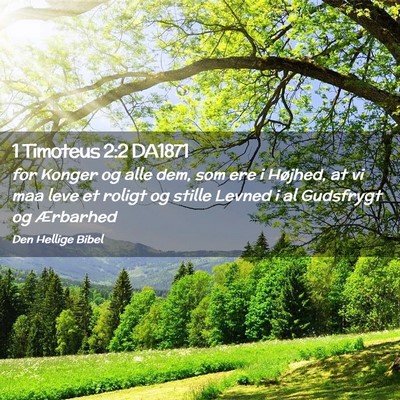 Picture 02 - 1 Timoteus 2:2 DA1871 - for Konger og alle dem, som ere i Højhed, at vi - Bible Verse Picture