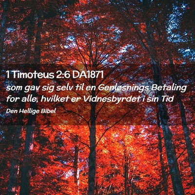 Picture 02 - 1 Timoteus 2:6 DA1871 - som gav sig selv til en Genløsnings Betaling for - Bible Verse Picture
