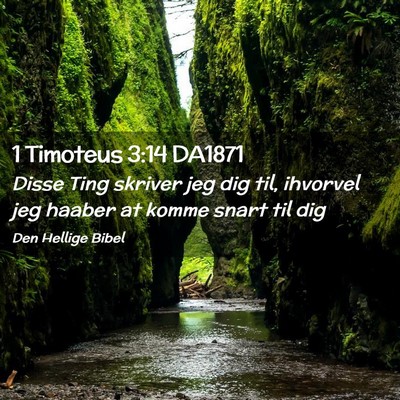 Picture 02 - 1 Timoteus 3:14 DA1871 - Disse Ting skriver jeg dig til, ihvorvel jeg - Bible Verse Picture