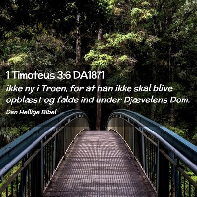 Picture 02 - 1 Timoteus 3:6 DA1871 - ikke ny i Troen, for at han ikke skal blive - Bible Verse Picture