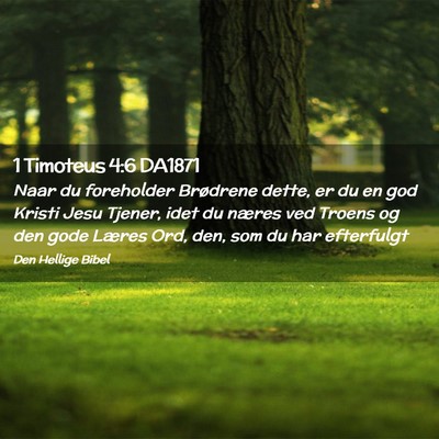 Picture 02 - 1 Timoteus 4:6 DA1871 - Naar du foreholder Brødrene dette, er du en god - Bible Verse Picture