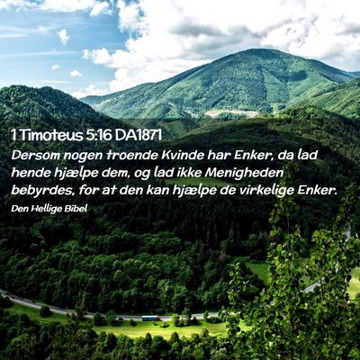 Picture 02 - 1 Timoteus 5:16 DA1871 - Dersom nogen troende Kvinde har Enker, da lad - Bible Verse Picture