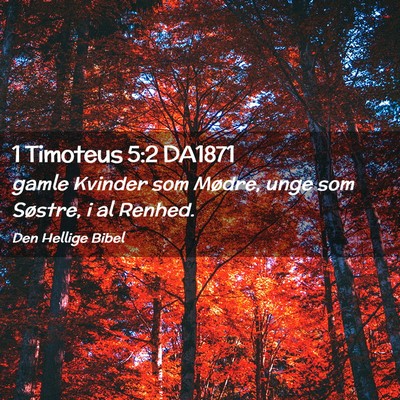 Picture 02 - 1 Timoteus 5:2 DA1871 - gamle Kvinder som Mødre, unge som Søstre, i al - Bible Verse Picture
