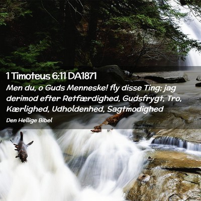 Picture 02 - 1 Timoteus 6:11 DA1871 - Men du, o Guds Menneske! fly disse Ting; jag - Bible Verse Picture