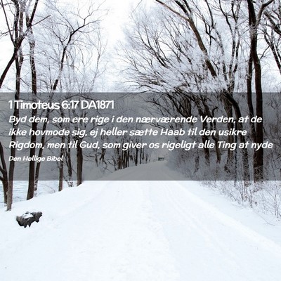 Picture 02 - 1 Timoteus 6:17 DA1871 - Byd dem, som ere rige i den nærværende Verden, - Bible Verse Picture