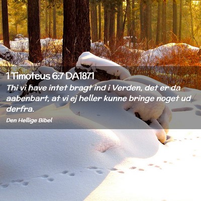 Picture 02 - 1 Timoteus 6:7 DA1871 - Thi vi have intet bragt ind i Verden, det er da - Bible Verse Picture