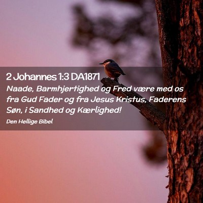 Picture 02 - 2 Johannes 1:3 DA1871 - Naade, Barmhjertighed og Fred være med os fra - Bible Verse Picture