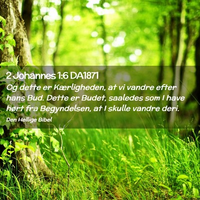 Picture 02 - 2 Johannes 1:6 DA1871 - Og dette er Kærligheden, at vi vandre efter hans - Bible Verse Picture