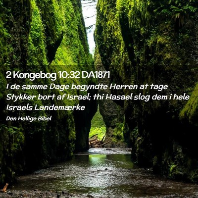 Picture 02 - 2 Kongebog 10:32 DA1871 - I de samme Dage begyndte Herren at tage Stykker - Bible Verse Picture