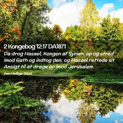 Picture 02 - 2 Kongebog 12:17 DA1871 - Da drog Hasael, Kongen af Syrien, op og stred - Bible Verse Picture