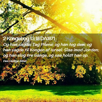 Picture 02 - 2 Kongebog 13:18 DA1871 - Og han sagde: Tag Pilene; og han tog dem; og han - Bible Verse Picture