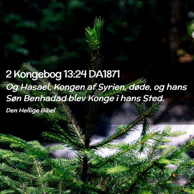 Picture 02 - 2 Kongebog 13:24 DA1871 - Og Hasael, Kongen af Syrien, døde, og hans Søn - Bible Verse Picture