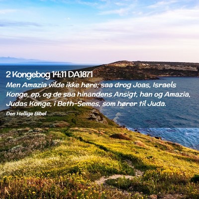 Picture 02 - 2 Kongebog 14:11 DA1871 - Men Amazia vilde ikke høre; saa drog Joas, - Bible Verse Picture