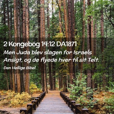 Picture 02 - 2 Kongebog 14:12 DA1871 - Men Juda blev slagen for Israels Ansigt, og de - Bible Verse Picture