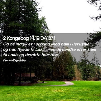 Picture 02 - 2 Kongebog 14:19 DA1871 - Og de indgik et Forbund imod ham i Jerusalem, og - Bible Verse Picture
