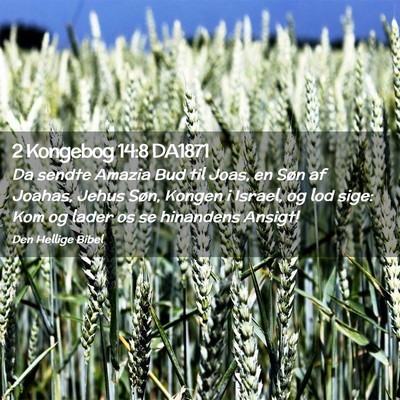 Picture 02 - 2 Kongebog 14:8 DA1871 - Da sendte Amazia Bud til Joas, en Søn af Joahas, - Bible Verse Picture