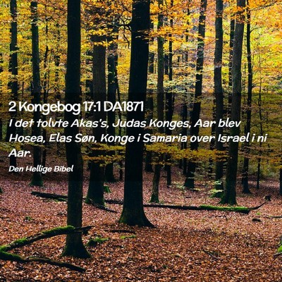 Picture 02 - 2 Kongebog 17:1 DA1871 - I det tolvte Akas's, Judas Konges, Aar blev - Bible Verse Picture