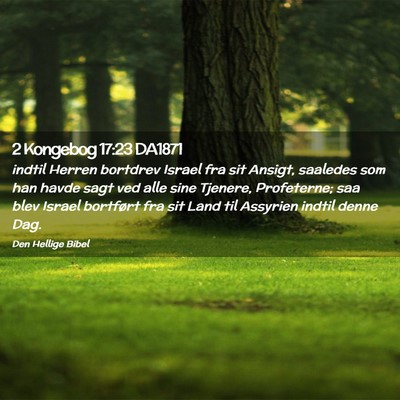 Picture 02 - 2 Kongebog 17:23 DA1871 - indtil Herren bortdrev Israel fra sit Ansigt, - Bible Verse Picture
