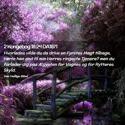 Picture 02 - 2 Kongebog 18:24 DA1871 - Hvorledes vilde du da drive en Fyrstes Magt - Bible Verse Picture