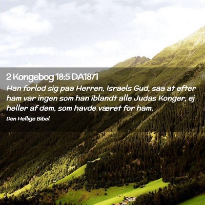 Picture 02 - 2 Kongebog 18:5 DA1871 - Han forlod sig paa Herren, Israels Gud, saa at - Bible Verse Picture