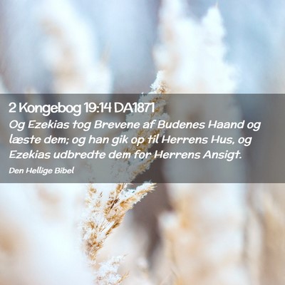 Picture 02 - 2 Kongebog 19:14 DA1871 - Og Ezekias tog Brevene af Budenes Haand og læste - Bible Verse Picture