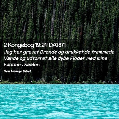 Picture 02 - 2 Kongebog 19:24 DA1871 - Jeg har gravet Brønde og drukket de fremmede - Bible Verse Picture