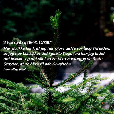 Picture 02 - 2 Kongebog 19:25 DA1871 - Har du ikke hørt, at jeg har gjort dette for - Bible Verse Picture