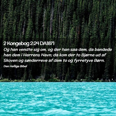 Picture 02 - 2 Kongebog 2:24 DA1871 - Og han vendte sig om, og der han saa dem, da - Bible Verse Picture