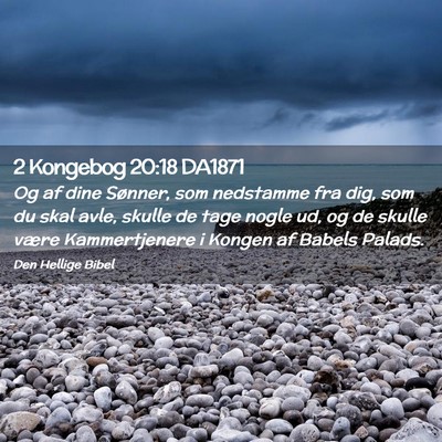 Picture 02 - 2 Kongebog 20:18 DA1871 - Og af dine Sønner, som nedstamme fra dig, som du - Bible Verse Picture