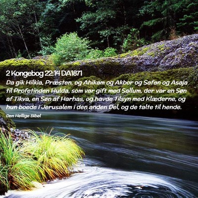 Picture 02 - 2 Kongebog 22:14 DA1871 - Da gik Hilkia, Præsten, og Ahikam og Akbor og - Bible Verse Picture