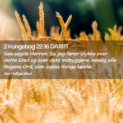 Picture 02 - 2 Kongebog 22:16 DA1871 - Saa sagde Herren: Se, jeg fører Ulykke over - Bible Verse Picture