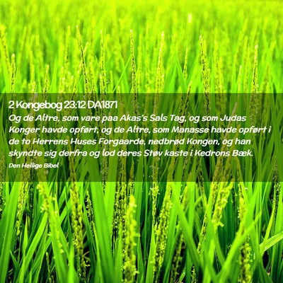 Picture 02 - 2 Kongebog 23:12 DA1871 - Og de Altre, som vare paa Akas's Sals Tag, og som - Bible Verse Picture