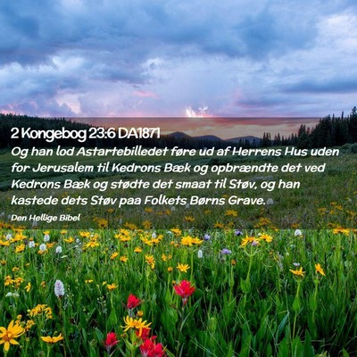 Picture 02 - 2 Kongebog 23:6 DA1871 - Og han lod Astartebilledet føre ud af Herrens - Bible Verse Picture