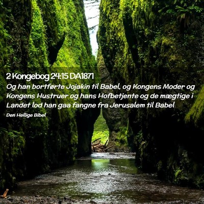 Picture 02 - 2 Kongebog 24:15 DA1871 - Og han bortførte Jojakin til Babel, og Kongens - Bible Verse Picture