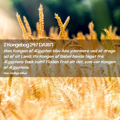 Picture 02 - 2 Kongebog 24:7 DA1871 - Men Kongen af Ægypten blev ikke ydermere ved at - Bible Verse Picture