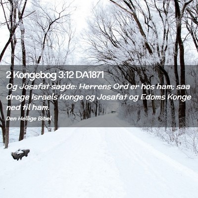 Picture 02 - 2 Kongebog 3:12 DA1871 - Og Josafat sagde: Herrens Ord er hos ham; saa - Bible Verse Picture