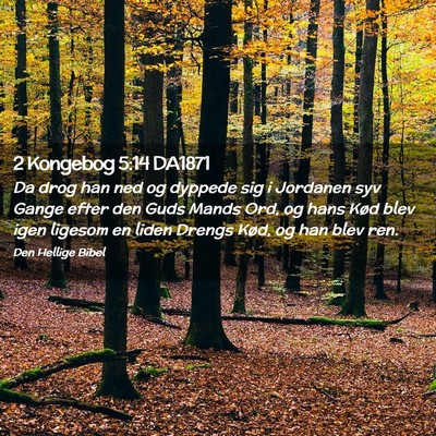 Picture 02 - 2 Kongebog 5:14 DA1871 - Da drog han ned og dyppede sig i Jordanen syv - Bible Verse Picture