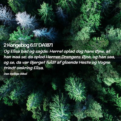 Picture 02 - 2 Kongebog 6:17 DA1871 - Og Elisa bad og sagde: Herre! oplad dog hans - Bible Verse Picture