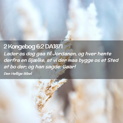 Picture 02 - 2 Kongebog 6:2 DA1871 - Lader os dog gaa til Jordanen, og hver hente - Bible Verse Picture