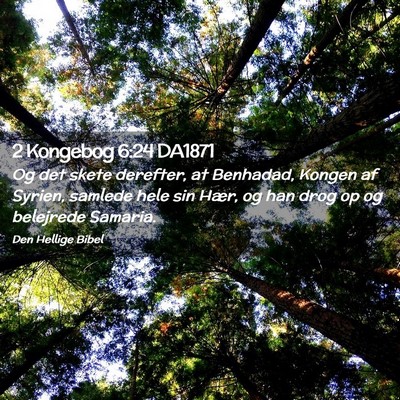 Picture 02 - 2 Kongebog 6:24 DA1871 - Og det skete derefter, at Benhadad, Kongen af - Bible Verse Picture
