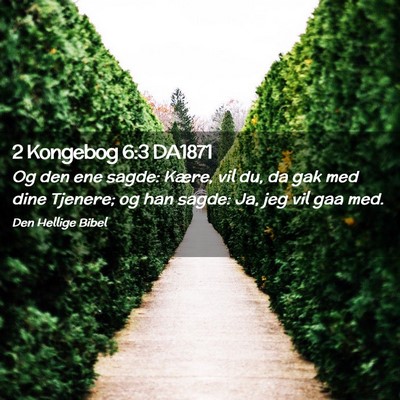 Picture 02 - 2 Kongebog 6:3 DA1871 - Og den ene sagde: Kære, vil du, da gak med dine - Bible Verse Picture