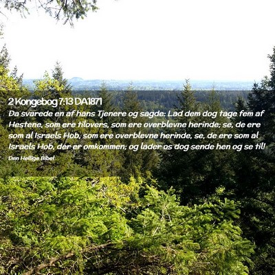 Picture 02 - 2 Kongebog 7:13 DA1871 - Da svarede en af hans Tjenere og sagde: Lad dem - Bible Verse Picture