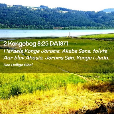 Picture 02 - 2 Kongebog 8:25 DA1871 - I Israels Konge Jorams, Akabs Søns, tolvte Aar - Bible Verse Picture