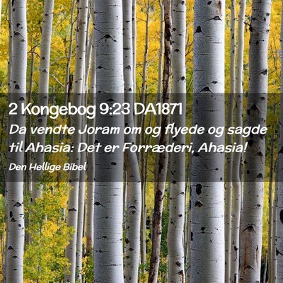 Picture 02 - 2 Kongebog 9:23 DA1871 - Da vendte Joram om og flyede og sagde til Ahasia: - Bible Verse Picture