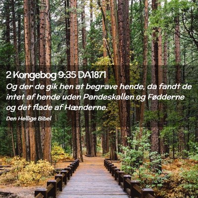 Picture 02 - 2 Kongebog 9:35 DA1871 - Og der de gik hen at begrave hende, da fandt de - Bible Verse Picture