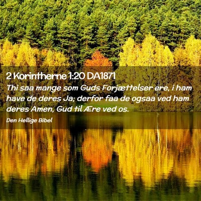 Picture 02 - 2 Korintherne 1:20 DA1871 - Thi saa mange som Guds Forjættelser ere, i ham - Bible Verse Picture